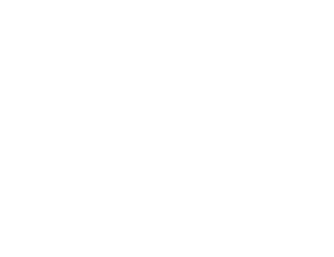 logo de l'entreprise Ambient IT