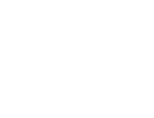logo de l'entreprise Tech Data
